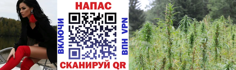 МАРИХУАНА Ganja  где купить наркоту  Жуковский 